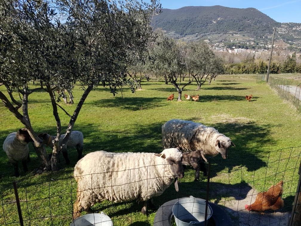 Studio En Campagne Dans Une Ferme Bio Apartman Nyons Kültér fotó